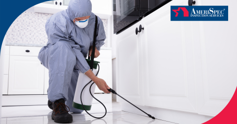 Technician wearing protective equipment spraying pest control solution along the base of kitchen cabinets for effective pest prevention.