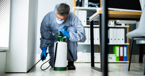 Technician in protective gear using a sprayer to apply pest control treatment on the floor of an office environment.